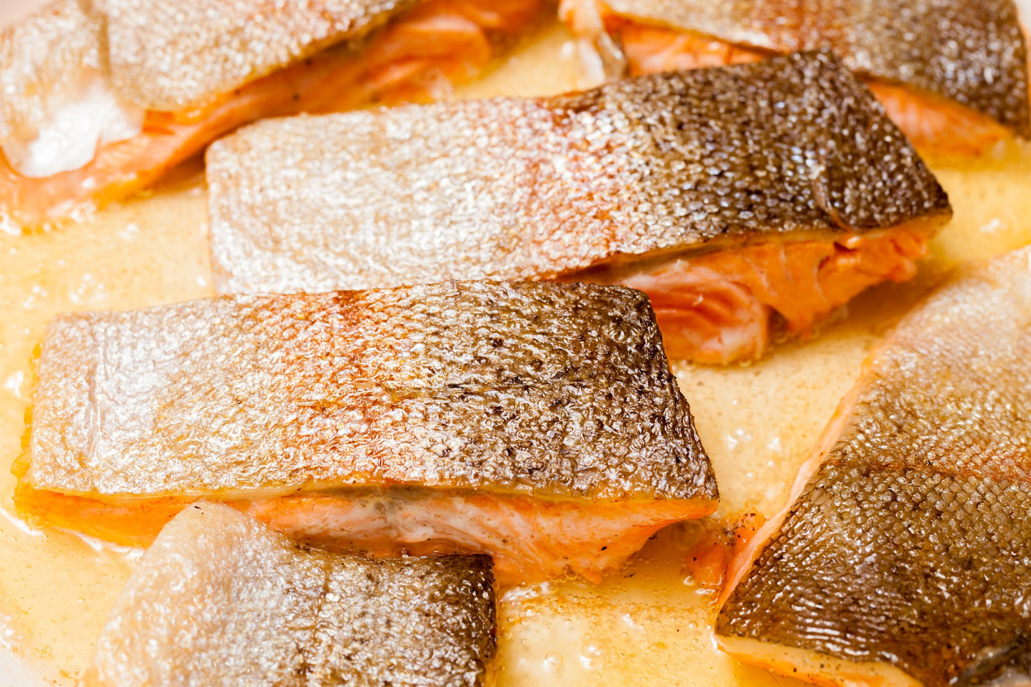Arctic Char
