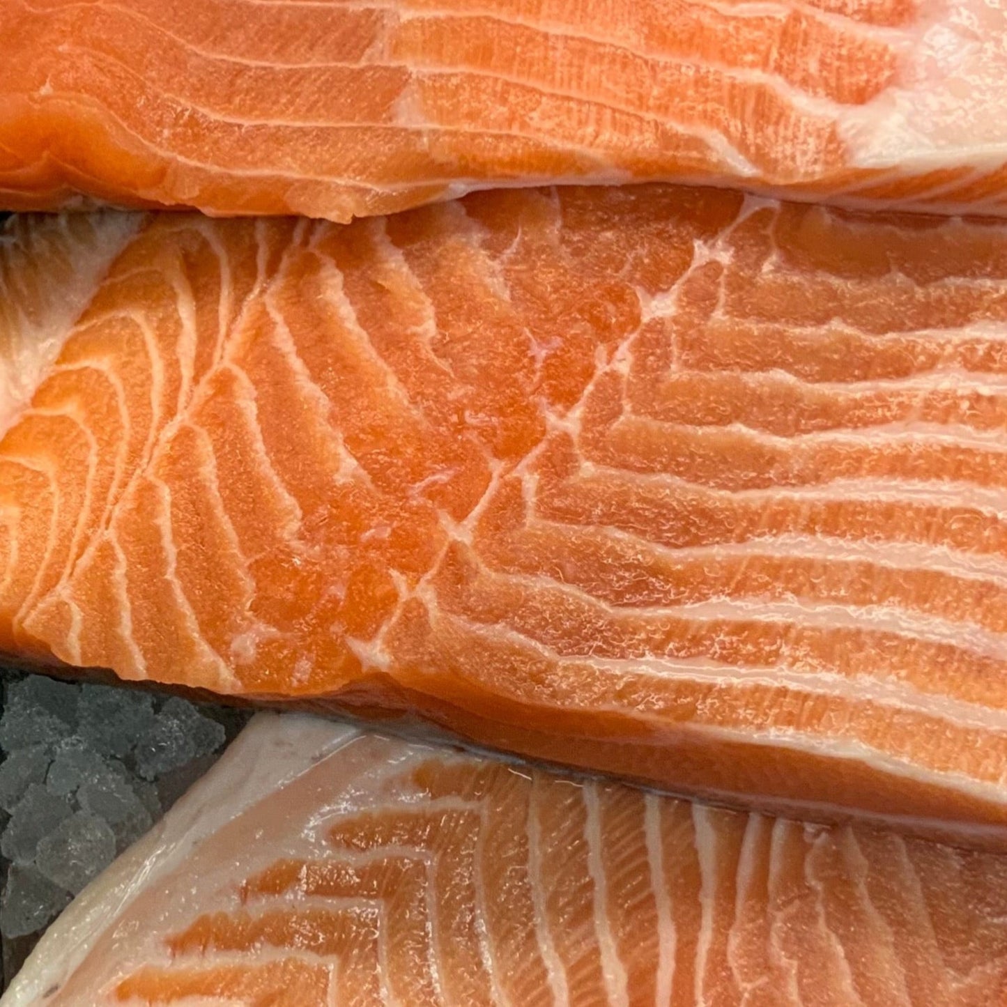 Atlantic Salmon