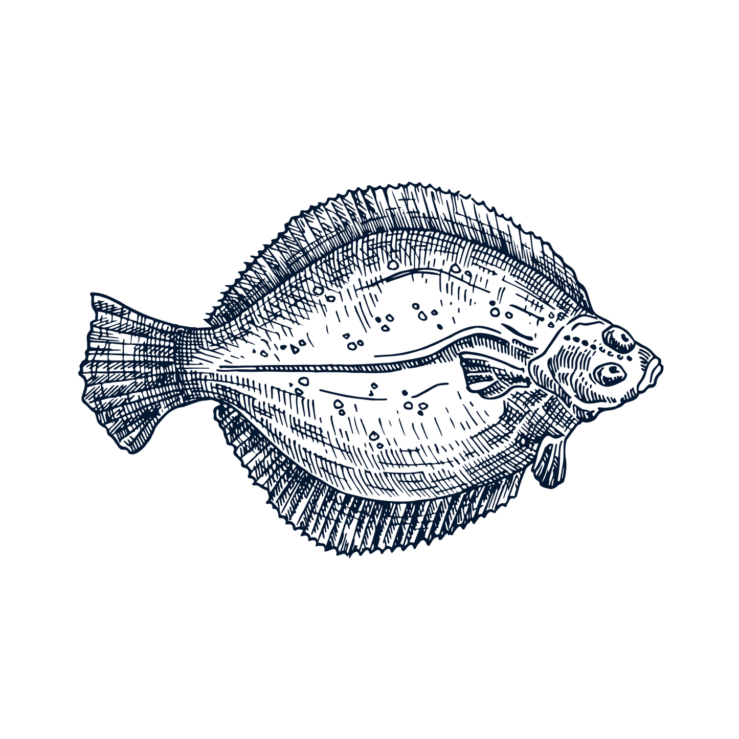 Flounder
