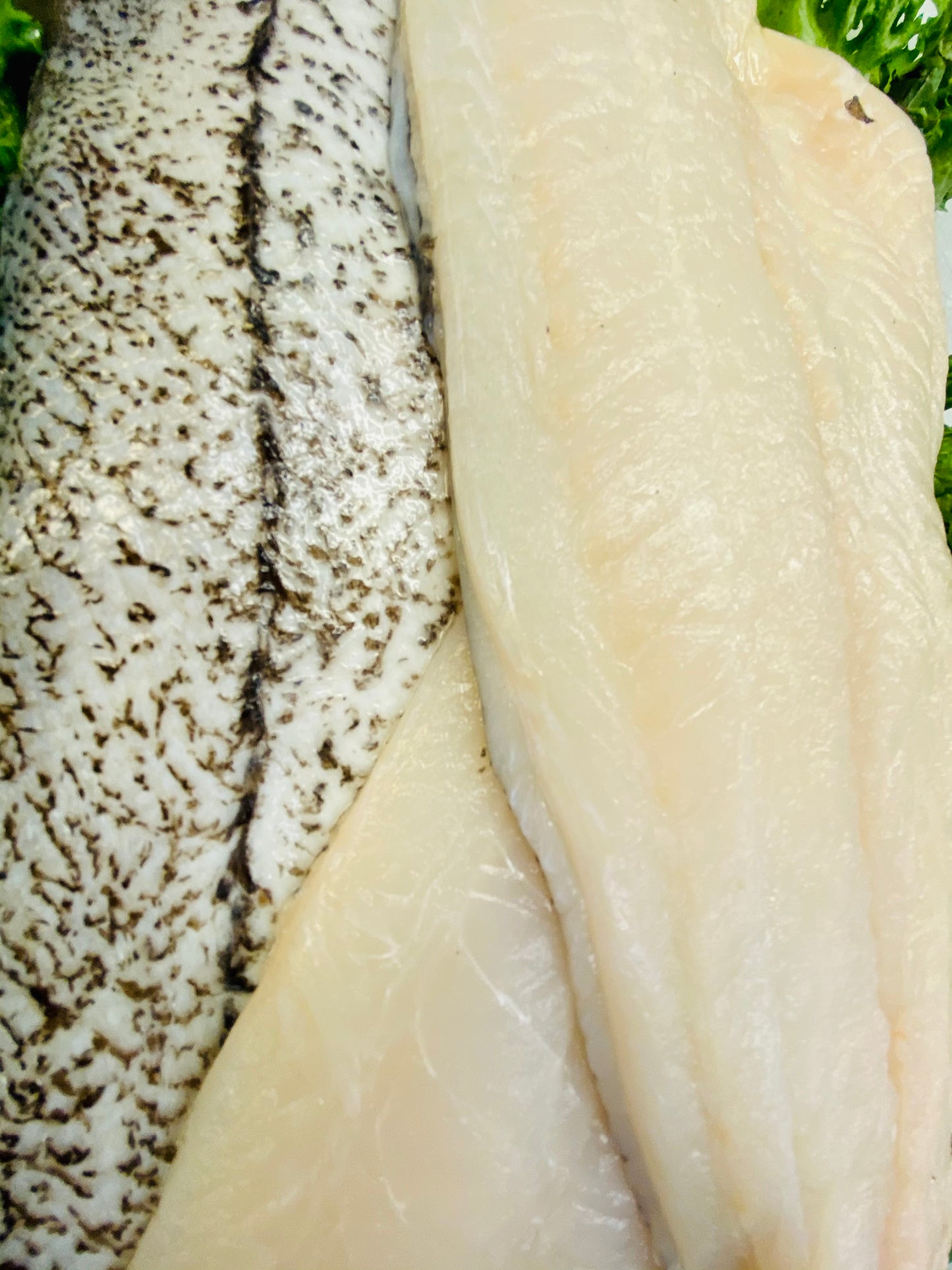 Haddock