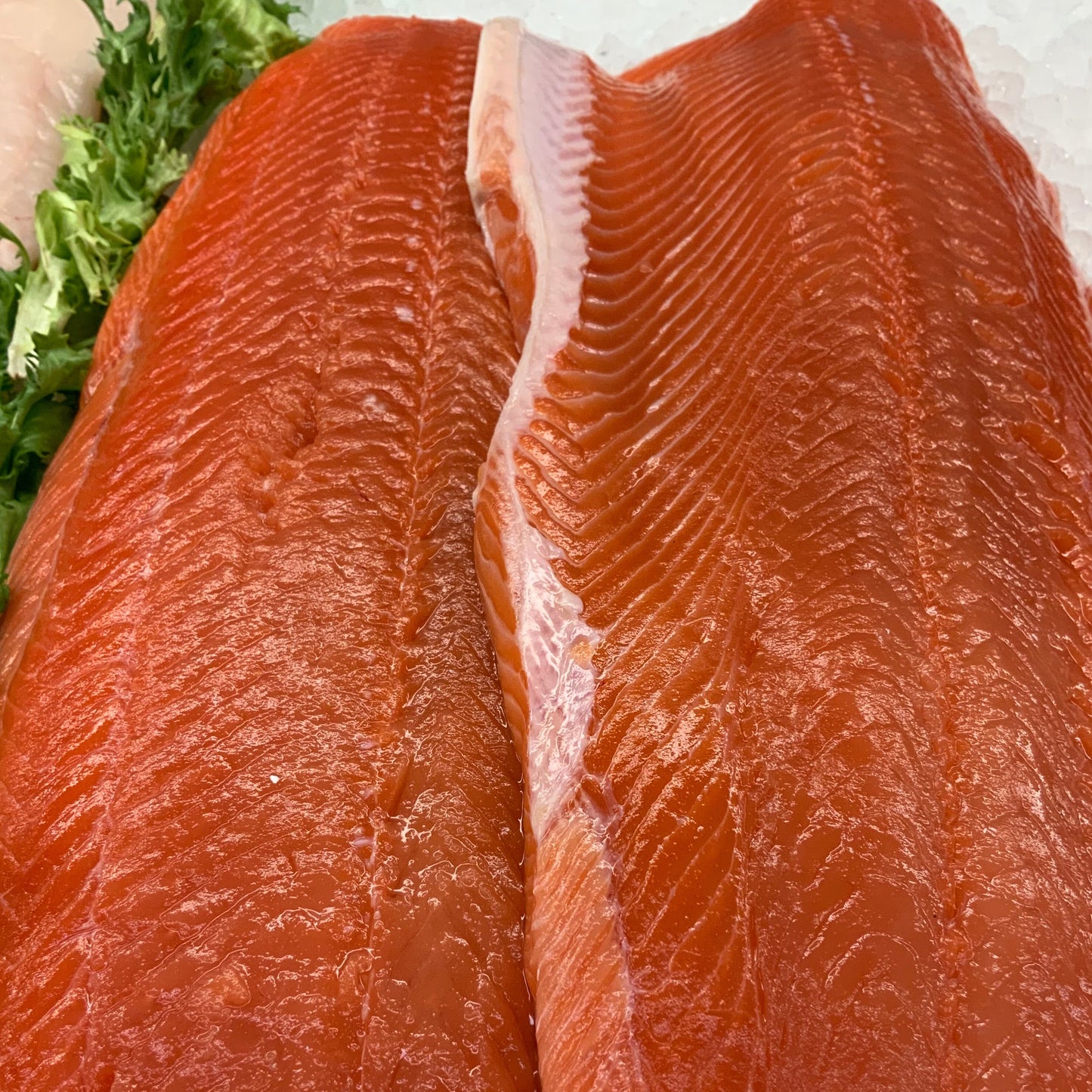 Wild King Salmon