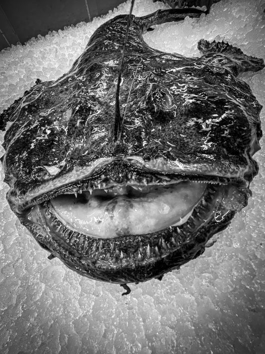 Monkfish