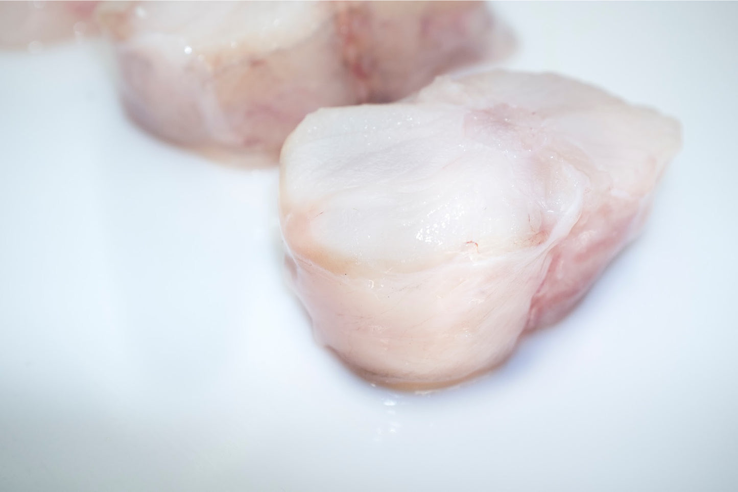 Monkfish