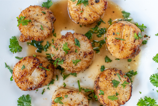 Sea Scallops